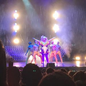 Meet your Posher, Maya